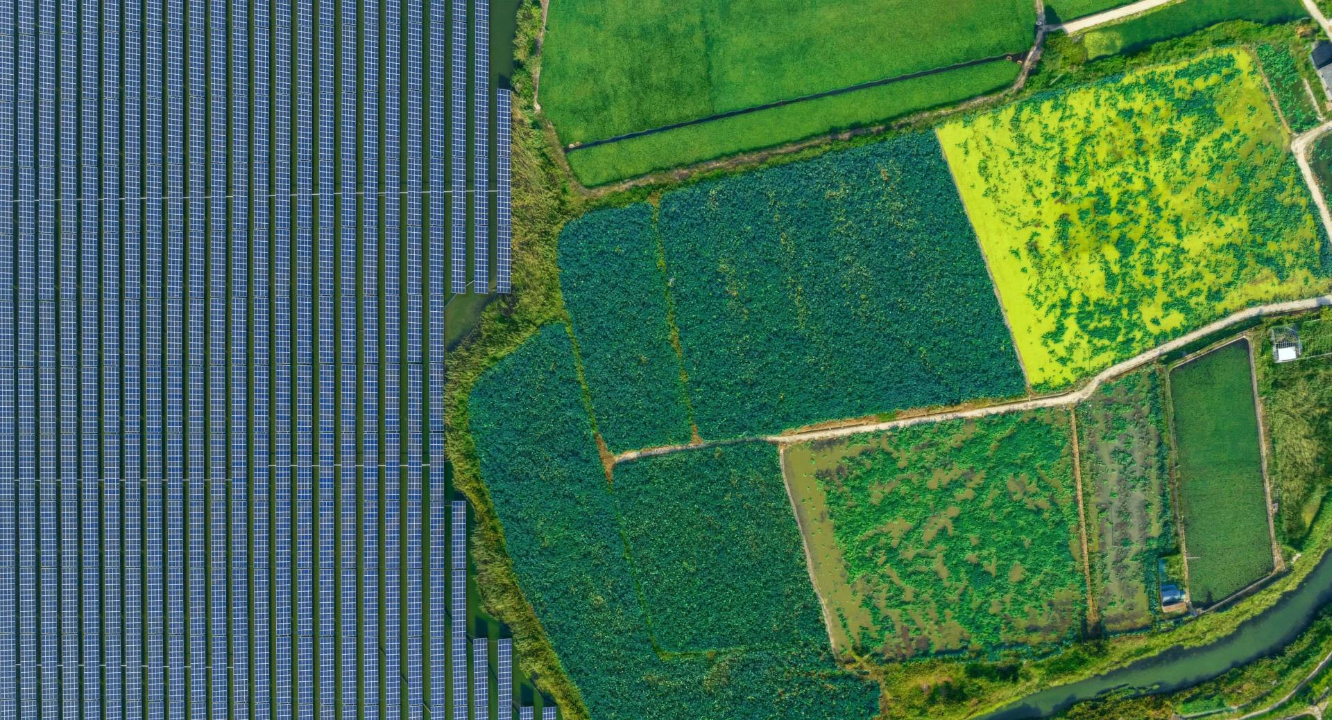 Coming Soon Header Image